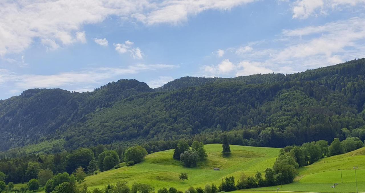 Hotel Gasthof Kreuz Welschenrohr Luaran gambar