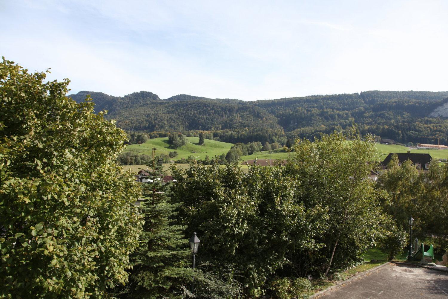 Hotel Gasthof Kreuz Welschenrohr Luaran gambar